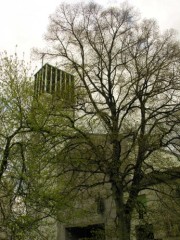 Autre vue de l'église Gut-Hirt avec feuillage du printemps. Cliché personnel (avril 2008)