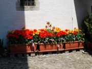 Accueil fleuri devant le porche du Temple d'Aubonne (avril 2009). Cliché personnel