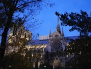 Notre-Dame à la tombée de la nuit. Cliché personnel