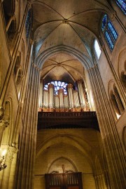 Une dernière en direction du Grand Orgue de N.-Dame. Cliché personnel