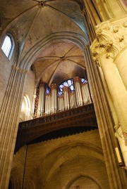 Autre ultime vue des orgues, N.-Dame de Paris. Cliché personnel