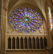 Rose du transept gauche (vitraux de Thibaud, 19ème s.). Cliché personnel