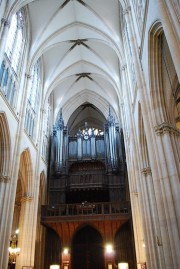 Une dernière perspective en direction du Grand Orgue. Cliché personnel