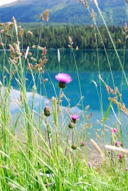 Autre vue du lac. Cliché personnel