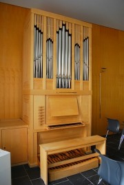 Vue de l'orgue Felsberg. Cliché personnel