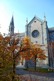 Vue de N.-Dame à Vevey, à la fin de sa restauration: nov. 2011