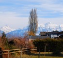 Vue sur les Alpes bernoises. Cliché personnel