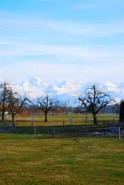 Vue sur les Alpes bernoises depuis le parvis de l'église. Cliché personnel