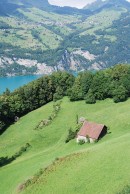 Vue plongeante sur le lac de Walenstadt. Cliché personnel (juillet 2014)