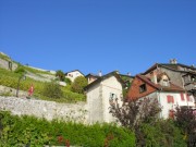 Les vignes à St-Saphorin. Cliché personnel