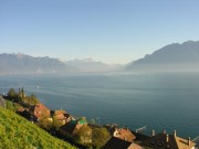 La vue sur le lac Léman à St-Saphorin. Cliché personnel