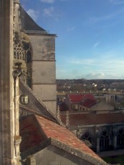 Autre vue depuis la cathédrale de Toul. Cliché de M. Pascal Vigneron