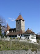 Vue du château de Spiez. Cliché personnel (mars 2008)