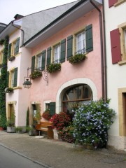 Le Landeron, dans le bourg. Cliché personnel