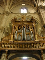 Autre vue de l'orgue gauche (Nord) du Dôme. Cliché personnel